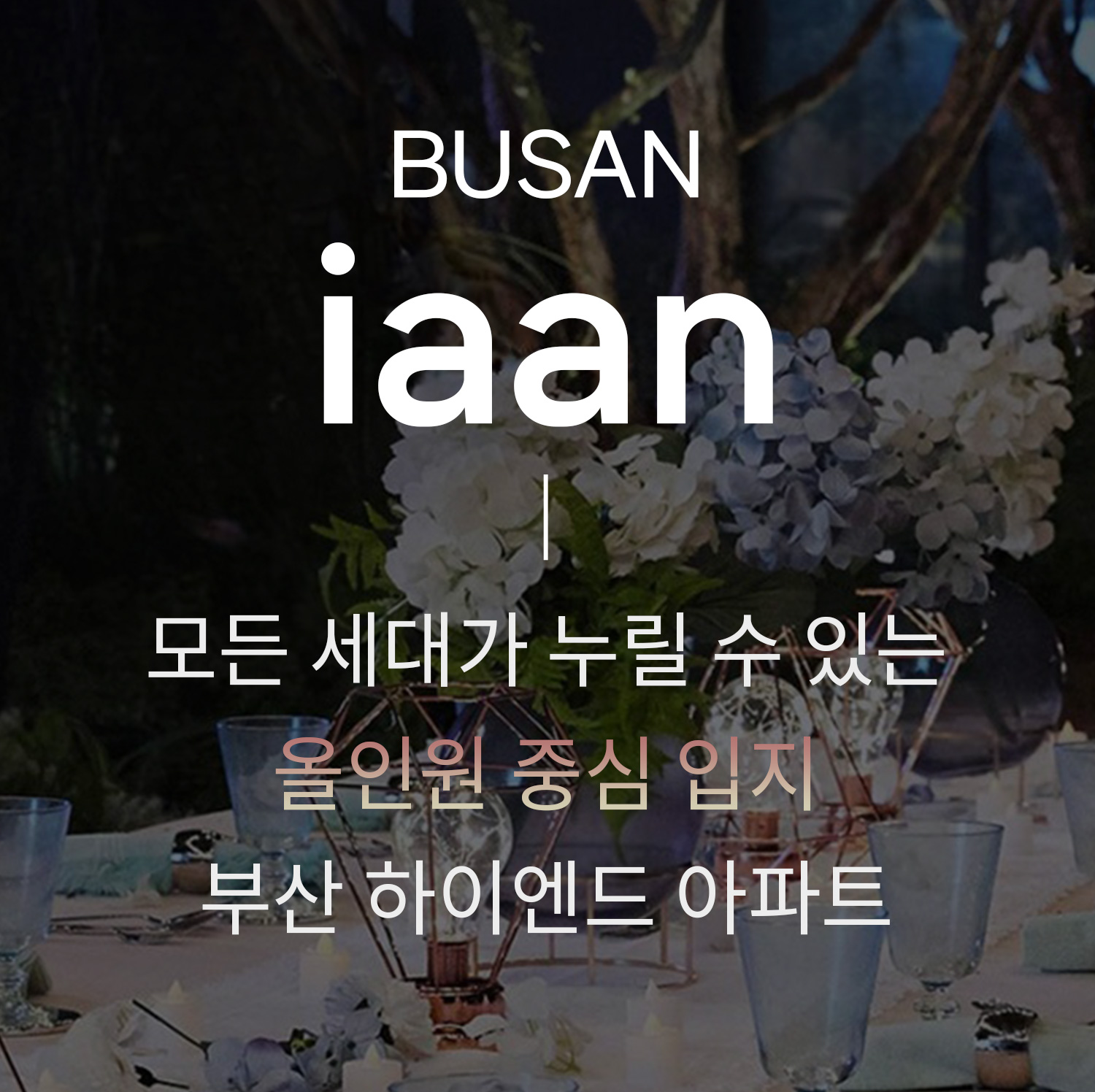 iaan-mobile-banner-2
